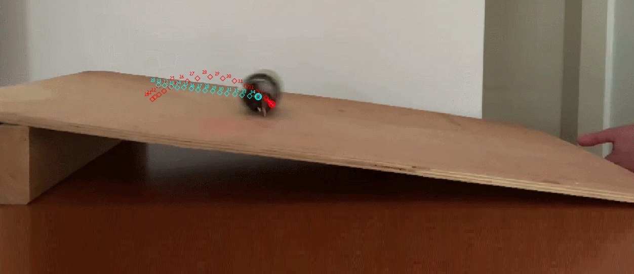 מעבדה גלגול