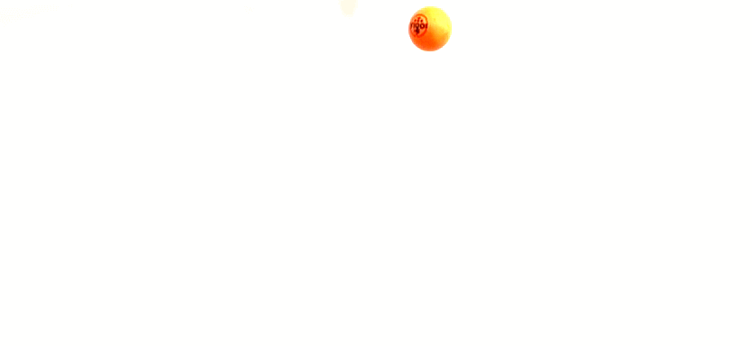 נפילת גופים